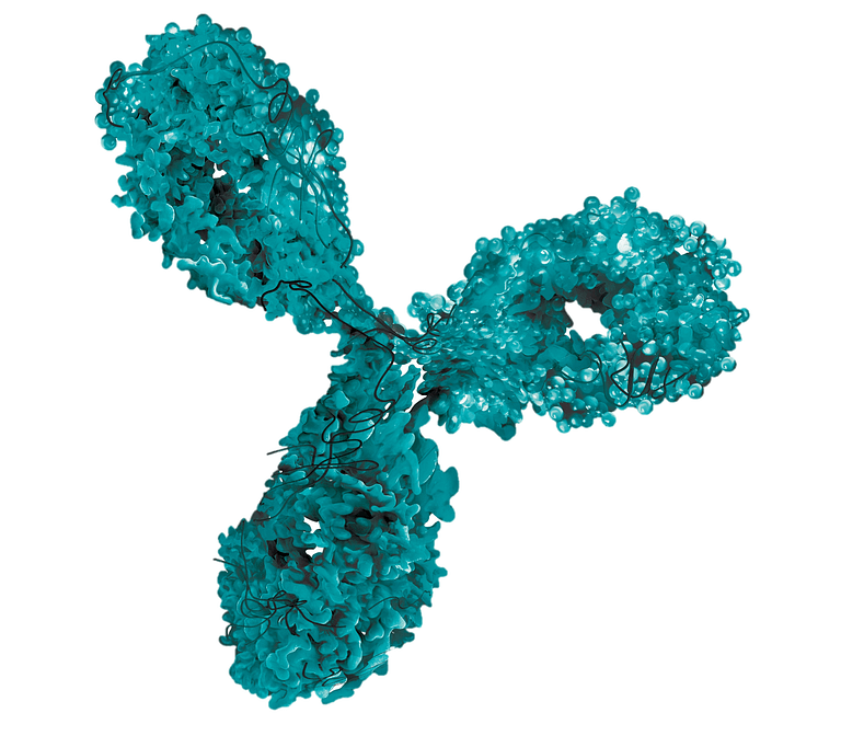 BionFarming Protein